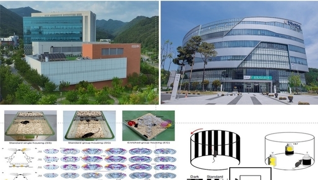 케이메디허브-한국뇌연구원,전임상 연구 인프라 국제적 연구발전에 기여
