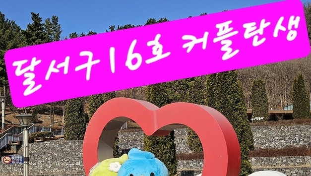 2026년 인연 꽃피운 달서구…미혼남녀 만남행사‘16호 성혼커플’탄생